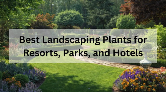 Landscaped resort garden with tropical palms, flowering trees, and green lawns for hotels, parks, and resorts.