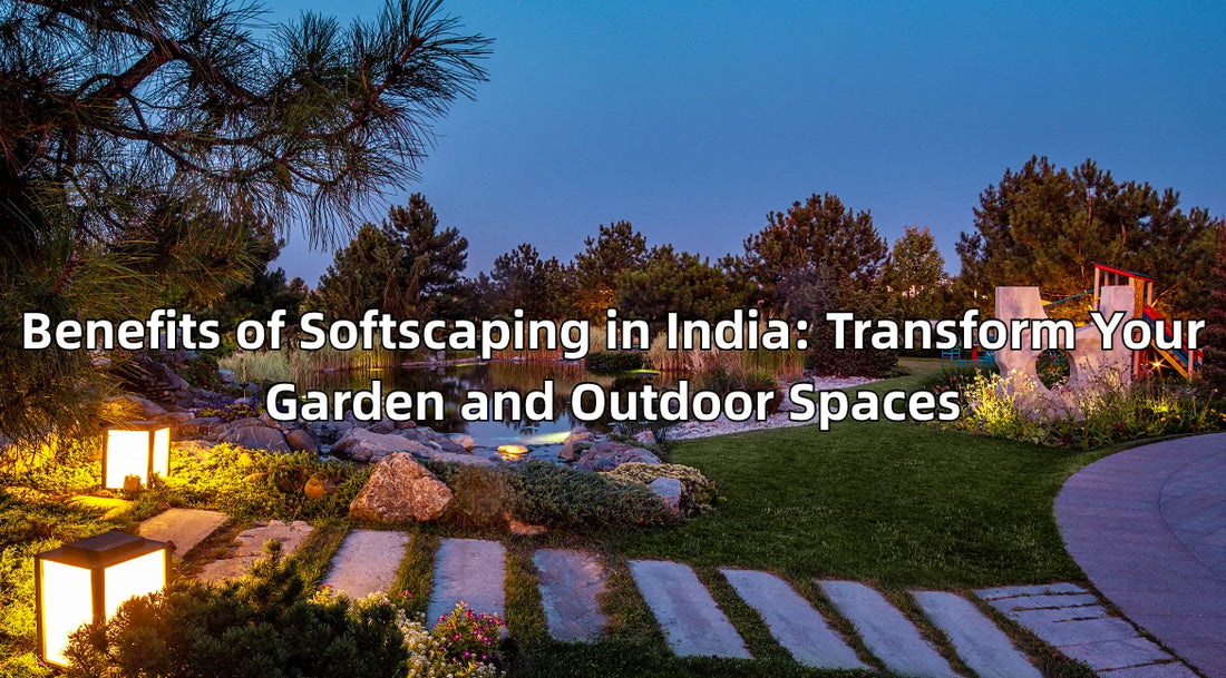 Softscaping, Softscaping in India, Benefits of Softscaping, Garden Softscaping, Bagwani Nursery plants, Landscaping Company, Nursery in India, Wholesale plants supplier