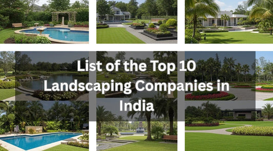 Collage of 10 landscape architecture projects including residential gardens, rooftop gardens, public parks, ornamental plants, palms, flowering plants, and lawn grasses., Bagwani Nursery, Landscaping Projects