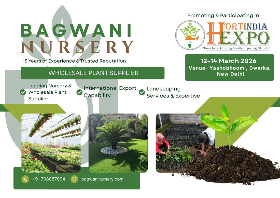 Bagwani Nursery at Horti India Expo 2026, Bagwani Nursery, Horti India Expo 2026, Horti India Expo New Delhi, Yashobhoomi Dwarka, Plant Exhibition 2026, Horticulture Expo India, Nursery Exhibition India,