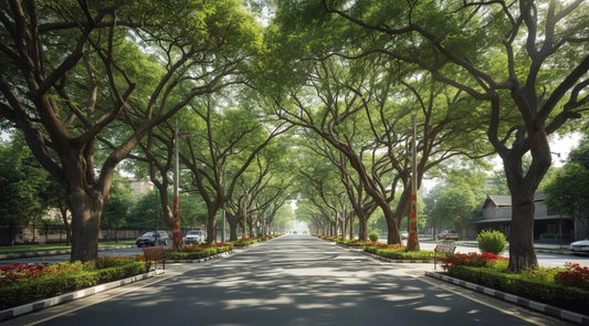 Avenue trees on Roadside, and Landscaping