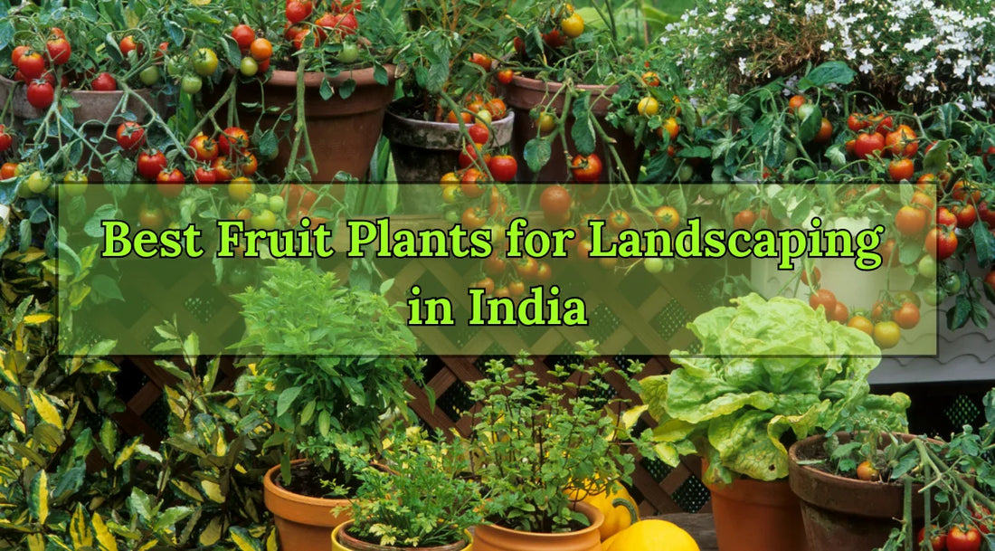 Best Fruit Plants for Landscaping in India, Best Fruit plants for landscaping, Landscaping Fruit Plants, Landscaping Services, Bagwani Nursery
