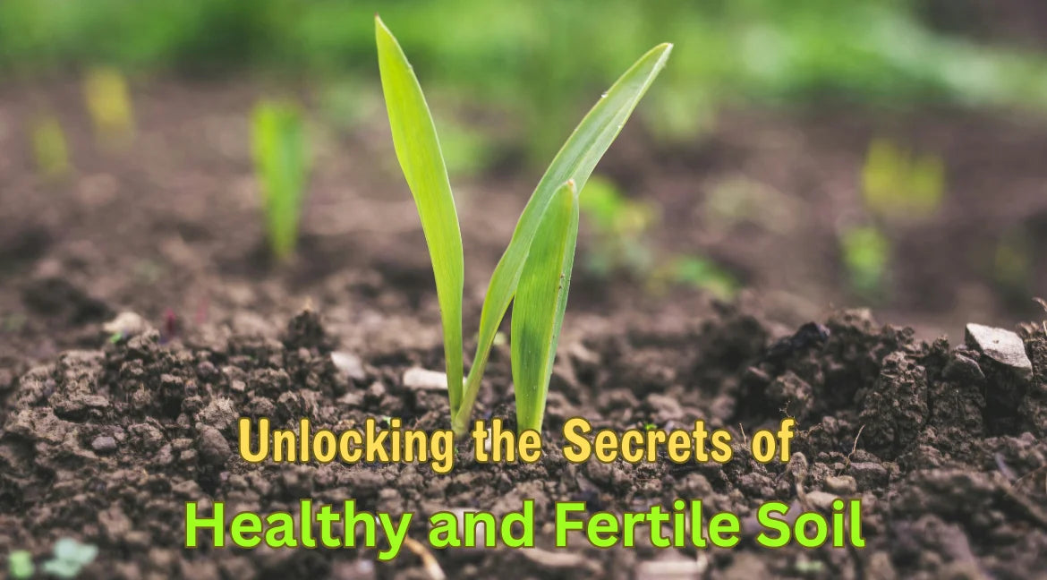 young green seedling growing in dark, fertile soil, representing healthy and fertile soil for gardening.