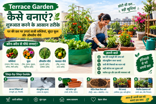 terrace-garden-banane-ka-tarika-in-hindi