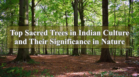 Sacred trees in India, Spiritual trees, Landscaping trees, Forestry trees, Peepal tree significance, Banyan tree importance, Neem tree benefits, Tulsi plant, Ashoka tree, Bel tree