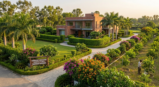 Essential farmhouse landscaping nursery plants including boundary palms flowering shrubs and manicured hedges in India