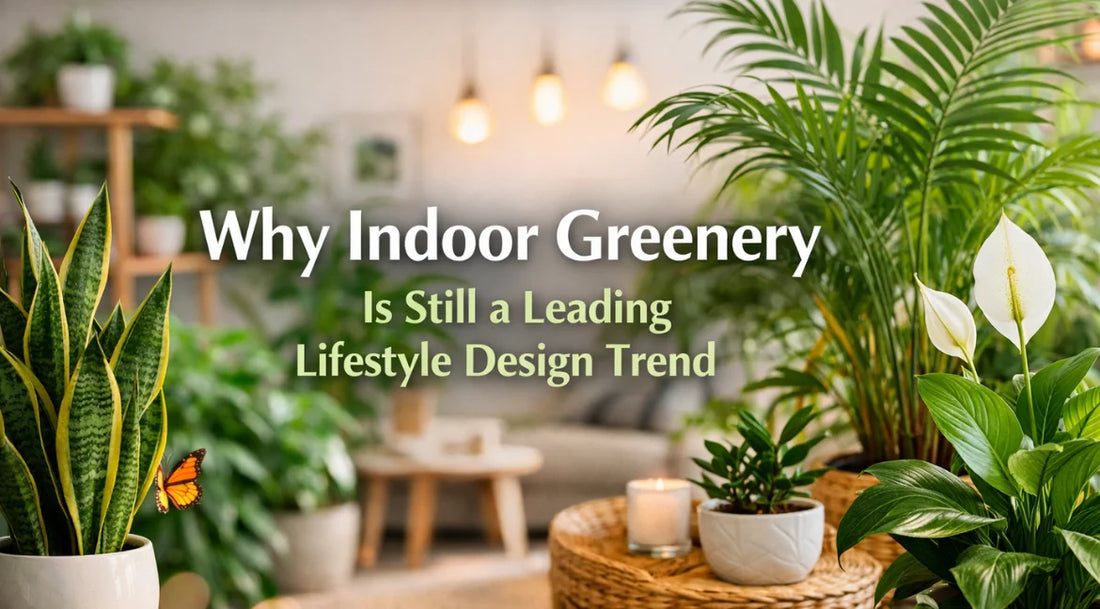 biophilic design plants India, indoor greenery lifestyle trend, indoor greenery trend, indoor plant suppliers India, indoor plants for builders, indoor plants for interior design, indoor plants for offices bulk
