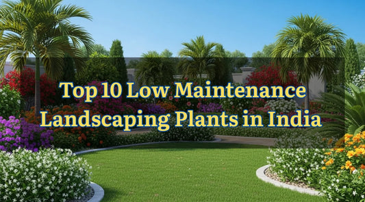 Top 10 landscaping plants, palms, flowers, 