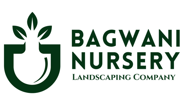 Bagwani Nursery